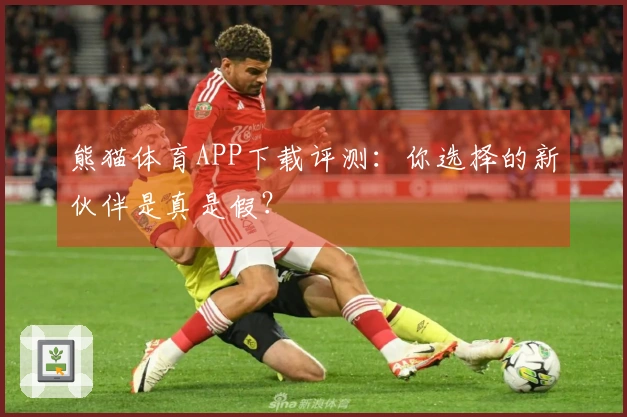 熊猫体育APP下载评测：你选择的新伙伴是真是假？